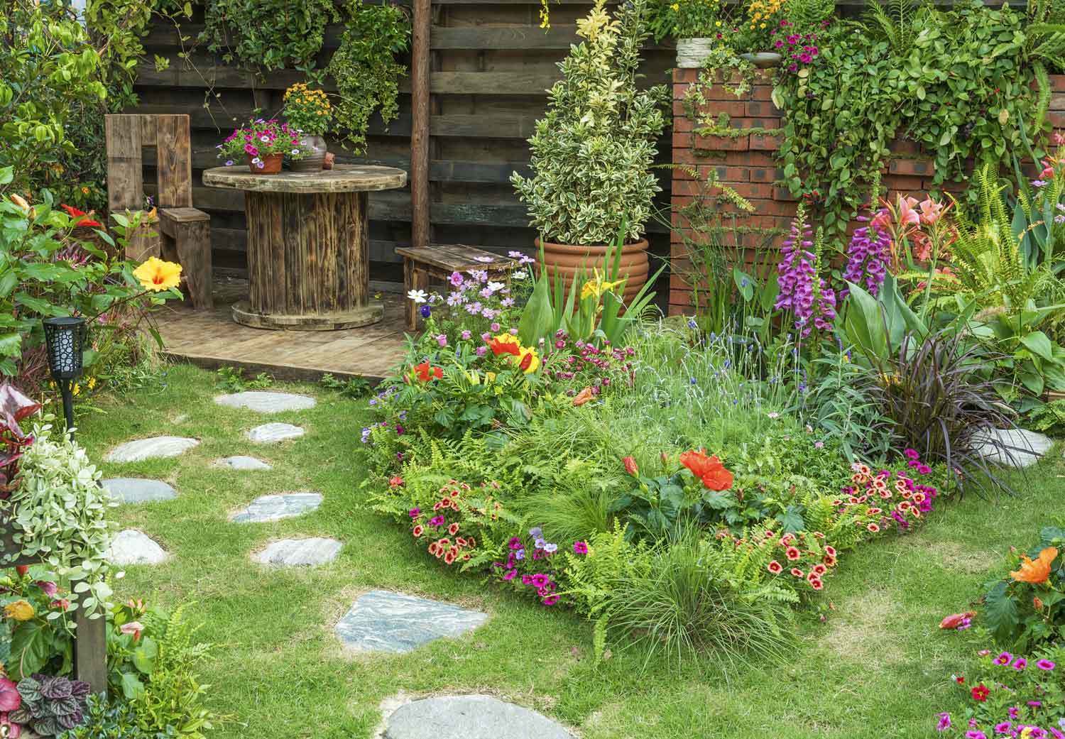 backyard wildflower garden 